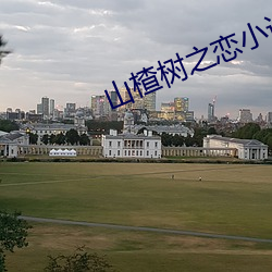 山楂樹之戀小說