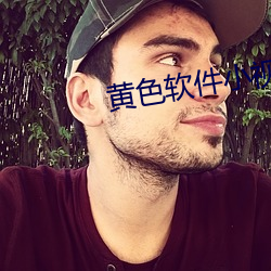 黄色软件小视频版