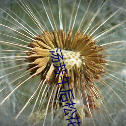 湯芳午後松花江上