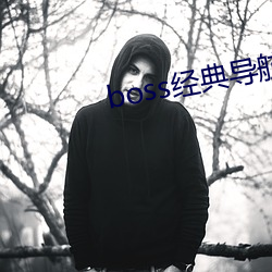 boss經典導航王