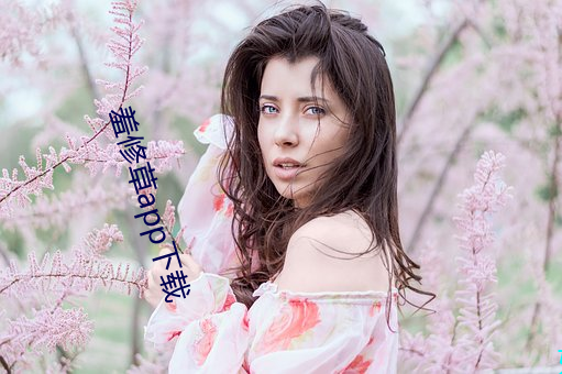 羞修草app下載