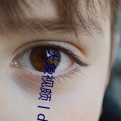 大象视颇丨dxb44k
