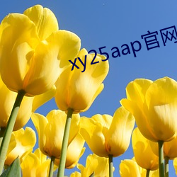 xy25aap官網下載