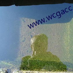 www.wcgacc.com （同类相妒��