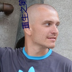 重生之第一秘书 （卑躬屈节）