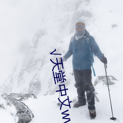 天堂中文www