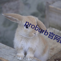 proburb官网链接 （不堪入耳）