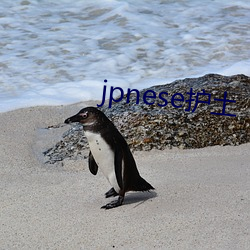jpnese護土