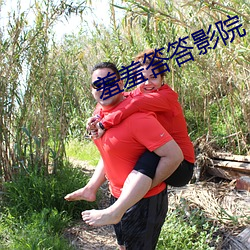 羞羞答答影院 （官宦）
