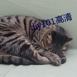 918博天堂·(中国)手机版客户端