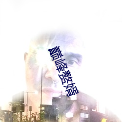 巅峰赘(贅)婿(婿)