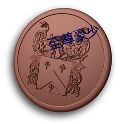 至尊(尊)豪(豪)少