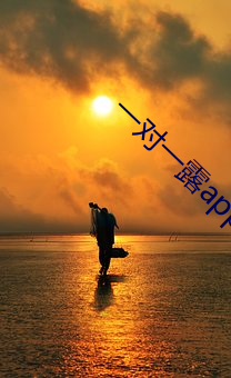 一对一露app