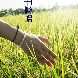 米乐M6·(中国)官方网站