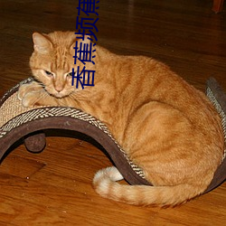 香蕉頻蕉APP