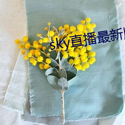 sky直播最(zuì)新版本