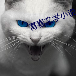 金年会(中国)官方网站