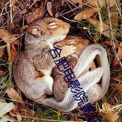 AG真人平台(中国)官方网站