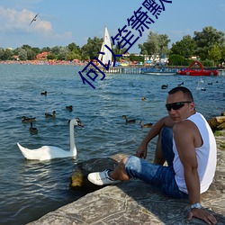 何以笙(笙)箫默小说