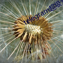 telegram超级索引