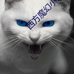 西方魔幻小说 （小意思）