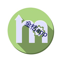 金桔app