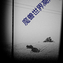 魔兽(獸)世界高清(清)壁纸(紙)