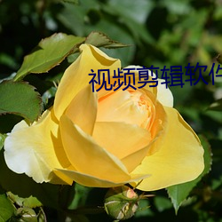 視頻剪輯軟件