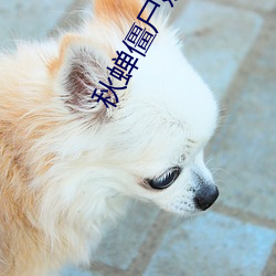秋蝉僵尸嬷嬷