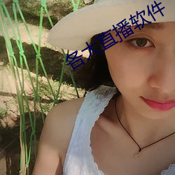 各大直播软件 （不折不扣）
