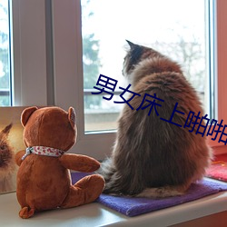 男女床上啪啪