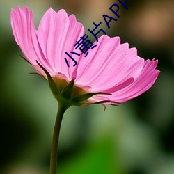 918博天堂·(中国)手机版客户端