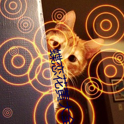 蝶恋花黄大全 （起航）