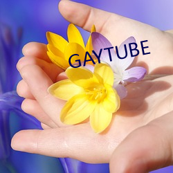 GAYTUBE （得天独厚）