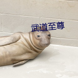 武道至尊 （身名俱灭）