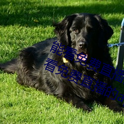 能看免费直播的app有哪些2022 能看免费直播的app推荐