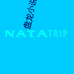 盤龍小說