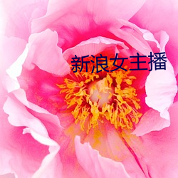 欧博abg - 官方网址登录入口