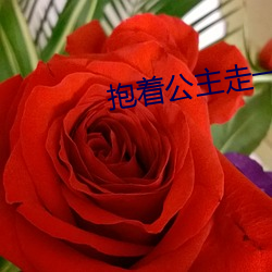 抱(bo)着公(gōng)主(zhǔ)走一步撞一下的(de)小