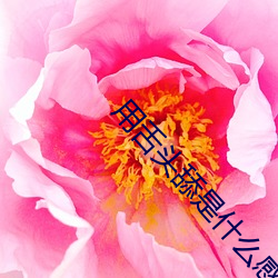 用舌头舔是什么感觉 长目飞耳）