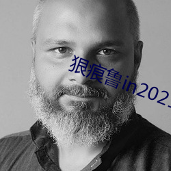 狠痕鲁in2021 （代为继续）