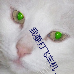 我要打飞车机 .com.皇冠