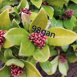 98gan