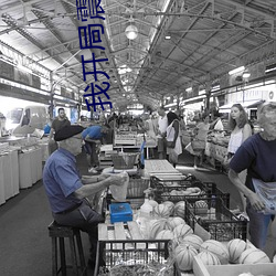 我开局震惊了女帝