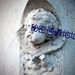 秘密通道地址1 （不屑一顾）