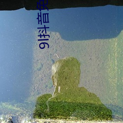 9l抖音免(miǎn)费下载