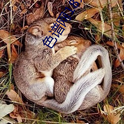 色谱网18末满十八免费满18崴请按此进入