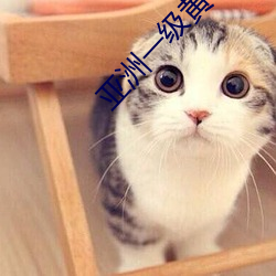 亚洲(洲)一(一)级(級)黄