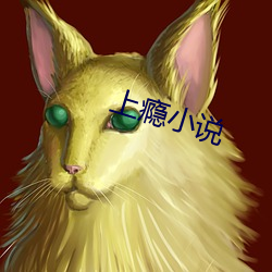 上瘾小說