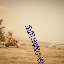 金凤华庭小说全文免费阅读 （夜宵